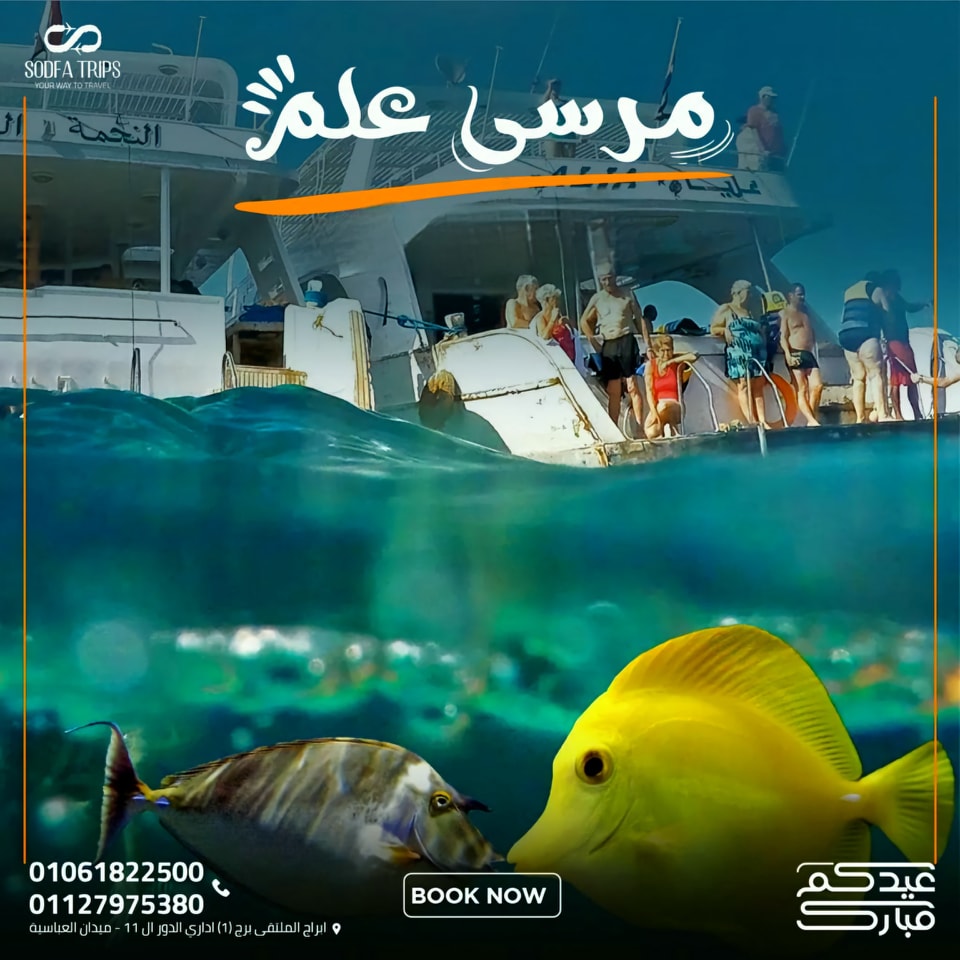 Home marsaalam2